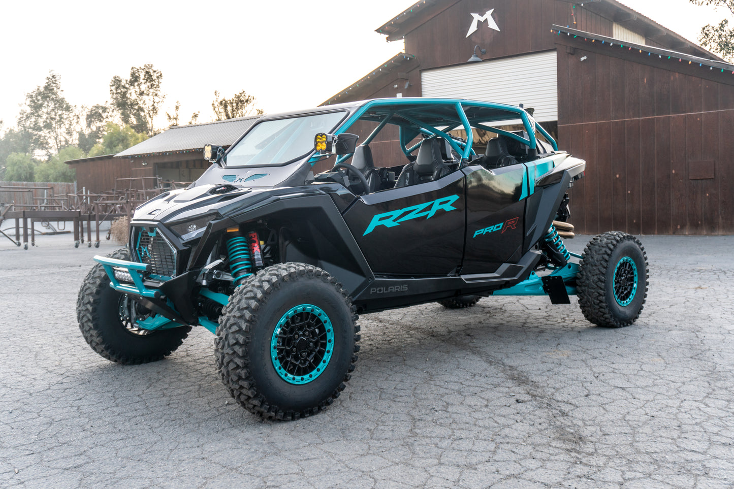 2025 Pro R 4- Seat Roll Cage & Roof