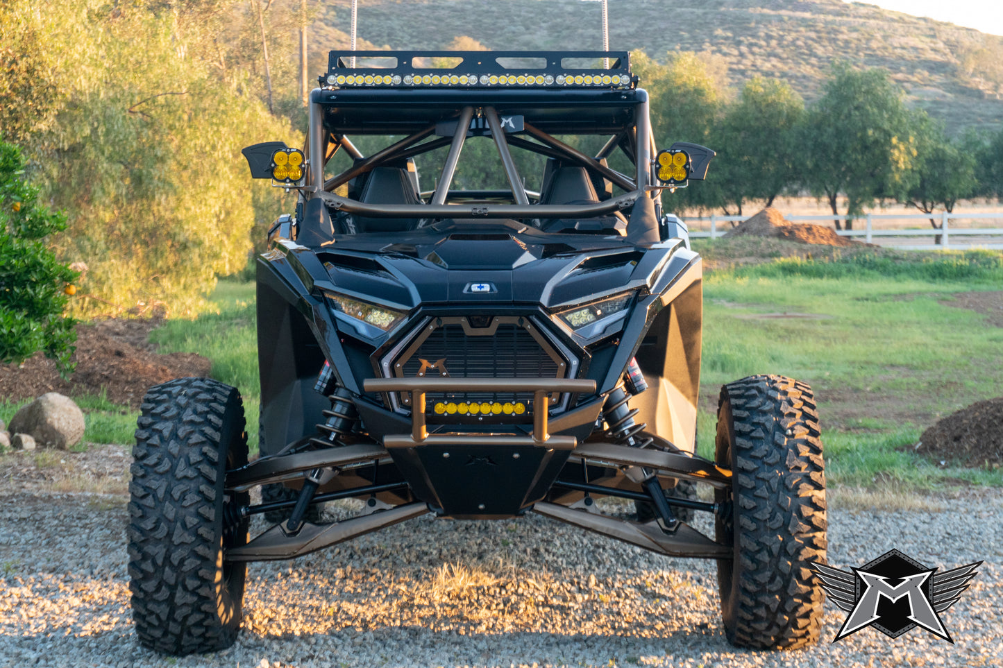 2025 Pro R 4- Seat Roll Cage & Roof