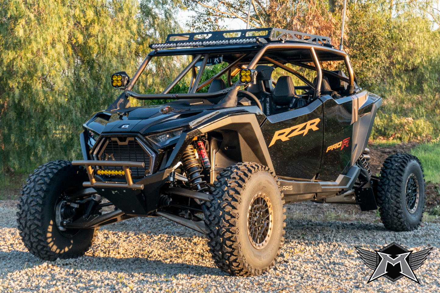 2025 Pro R 4- Seat Roll Cage & Roof